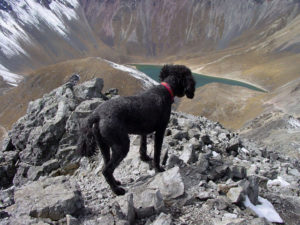 An intrepid Mexico traveler, Milo stands atop the Nevada de Toluca volcano to enjoy the splendid view. © Jane Wilkinson, 2009