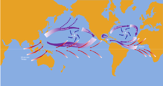 The Oceanic route. Currents and winds.