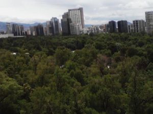 A view of Chapultepec forest in Mexico City, seen from the Castle of Chapultepec © David Wall, 2013
