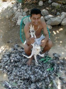 A 'pavo' (turkey) is readied for molé