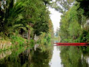 Perfect peace on a weekday in Xochimilco, Mexico. Weekends come alive with tourists who visit the canals. © Edythe Anstey Hanen, 2013