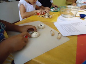 Young students at Chef Pilar Cabrera's Casa de los Sabores cooking school in Oaxaca use dull knives to slice fresh mushrooms. These will top homemade pizzas. © Alvin Starkman, 2011