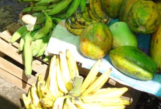 Green and yellow plantains in a street market stand © Karen Graber, 2012