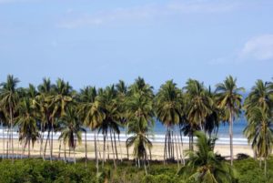 Sometimes referred to as El Capomo, Playa del Naranjo is an unspoiled Mexican beach the small town of La Colonia, just north of La Peñita de Jaltemba © Christina Stobsb, 2012