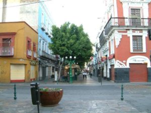 Walking (north) up the pedestrian Avenida 5 de Mayo.