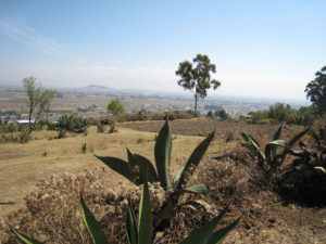 Magueys were traditionally planted on the perimeters of fields in Central Mexico. In pre-Hispanic times, plots were worked by hand and thus were smaller than they are today. These plots near Calixtlahuaca, Mexico, are still small, though larger than they were in pre-Hispanic times due to the use of horses. © Julia Taylor, 2010