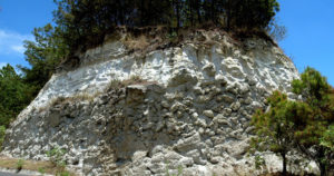 Pumice Blocks: A section of the Giant Pumice Horizon, which contains blocks of pumice up to 8 meters in diameter. This sight attracts geologists from all over the world to Guadalajara's Primavera Forest. © John Pint, 2014