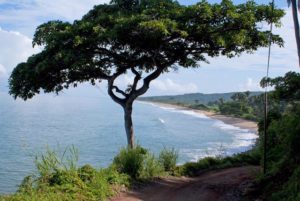 Punta Raza on Mexico's Nayarit Riviera is a wildly beautiful beach bordered by the lush, tropical foliage of the Vallejo Mountains © Christina Stobbs, 2012