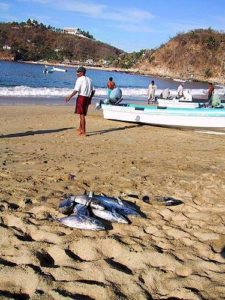 San Agustin Bay, Huatulco, Oaxaca