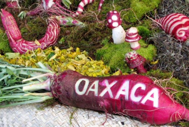 The Night of the Radish festival takes place every December 23rd in Oaxaca © Tara Lowry, 2013