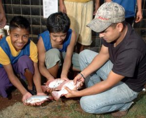 Children at Mexico's Villa de los Niños spend a number of years learning one or more of 14 different trades or skills taught to them by experts. These tilapia were netted in the huge aquaculture building where boys learn how to raise fish. © John Pint, 2012