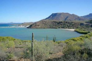 Conception Bay on the Gulf of Cortés in Baja California Sur offers excellent sport fishing.