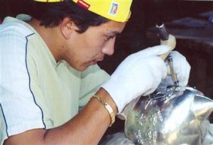 Adbon Punzo Chávez embossing butterflies on a silver pot
