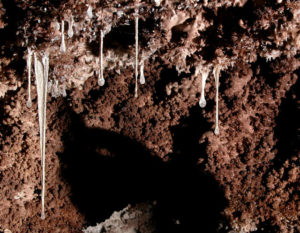 Ruibbery stalactites known as "snottites" form in la Cueva de de la Villa Luz. Located in the Mexico state of Tabasco, the cave is also knows as Las Sardinas. © Ken Ingham, 2010, Diana Northup, flash assistant