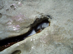 Minerals form crusty layers around the artesian springs at Hierve el Agua, Mexico © Alvin Starkman, 2012