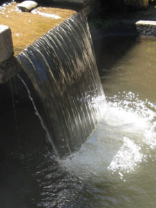 This stream feeds the pond in Arroyo Guacamaya, Oaxaca © Alvin Starkman, 2011