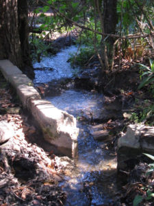 A stream flows through the ecotourism site of Arroyo Guacamaya in Mexico © Alvin Starkman, 2011