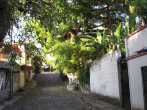 Many of the lanes of Catemaco, Mexico, are reminiscent of an Eden. © William B. Kaliher, 2010