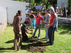 Students planting garden