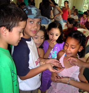 During a talk by Mexico's Rodrigo Orozco, children examine a Madagascar Hissing Cockroach, which can reach four inches in length at maturity. © John Pint, 2011