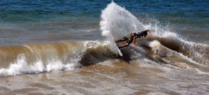 Almost parallel with the water, a skimboarder demonstrates incredible balance as he cuts across a wave in Melaque on Mexico's Pacific coast. © Gerry Soroka, 2010