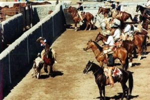 During the Cola, a Charro on horseback chases a bull and fells it by grabbing its tail. Photography by Gilbert W. Kelner. © 2000