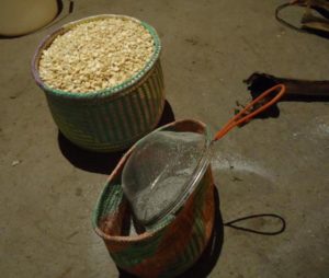 The corn, boiled with lime and thoroughly rinsed, is ready to take to the mill. © Alvin Starkman, 2012