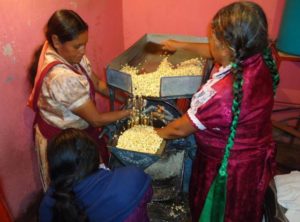 The corn for preparing tejate is weighed the ground in a mill in less than ten minutes. Alvin Starkman, 2012