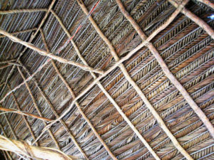 Ernesto's hand-made palapa, Mayto Beach, el Rinconcito on Mexico's Costa Alegre © Barbara Sanda, 2010