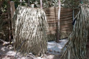 This secluded oasis of Nuevo Ixtlan, Nayarit, provides modest changing facilities. These consist of a couple of primitive but charming bamboo-like shacks lined with palm fronds that could have served on the set of a Tarzan movie. © Christina Stobbs, 2012
