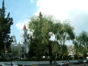 From the Plaza de los Martires looking northeast is the Templo del Carmen on the left. I tried to capture the beauty of the hill on the right in this photo.