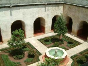 The atrium courtyard garden is well maincured.