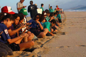 Students from a local school in Todos Santos, Mexico prepare to release a batch of Olive Ridley turtle hatchlings. © Mariah Baumgartle, 2012