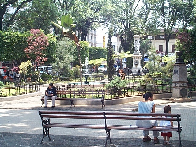 One of the fountains with benches and trees for shade.