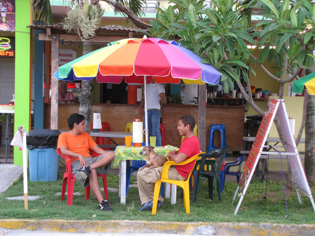 Waiting for Los Abuelos restuarant to open, its waiters befriend the dog. The restaurant in Tecolutla, Mexico, is a 1950s-style hamburger hut. © William B. Kaliher, 2010