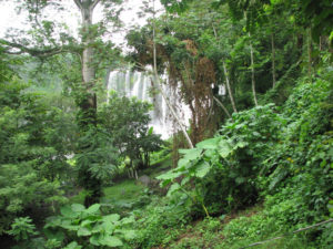 Hidden in the verdant jungle near Catemco, Veracruz, this waterfall is characterized by its raw power and glory. The author discovered the cascades that appeared in Mel Gibsons "Apocalypto," filmed in Mexico. © William B. Kaliher, 2010