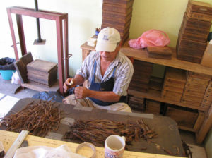 A German cigar produced in Mexico: Puros Sihuapan