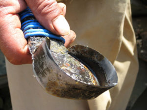 Close up of the scraping tool specially made by a local craftsman. Mexican pulque producer Don Jose scrapes the core of the maguey twice daily to harvest the sweet sap. © Julia Taylor, 2011