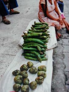 Fiesta of the Virgin Magdalena in Xico: A village of enchantment in Veraruz