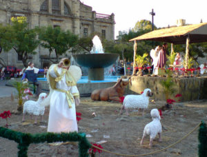 An angel blows a trumpet, sounding the good news of Christmas. This tableau stands alongside a creche in one of Guadalajara's four main plazas. © Daniel Wheeler 2009