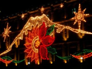 Night on the Zocalo in Mexico City is a virtual fairyland of lights. © Edythe Anstey Hanen, 2012