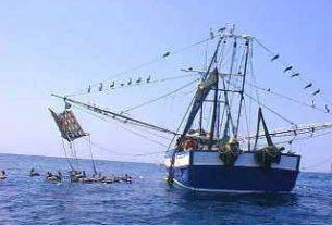 Fishing boat in the Sea of Cortez