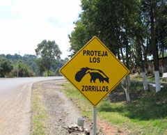 A sign on the road to Mazamitla says 'Protect Skunks' © Marvin West 2012