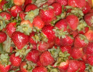 Succulent strawberries for sale in a Mexican market © Daniel Wheeler, 2014