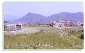 View across the site