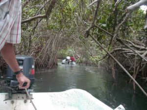 Tenacatita: Hidden jewel in Mexico