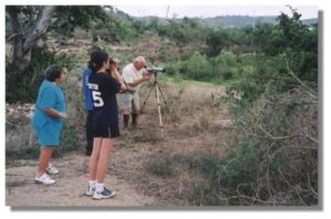 Bird Watching in the early morning near the town.