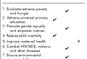 United Nations Millennium Development Goals