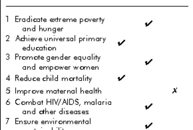 United Nations Millennium Development Goals