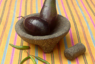 The native Mexican avocado, Peresea drymifolia © Daniel Wheeler, 2009